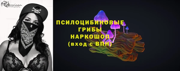a pvp Няндома