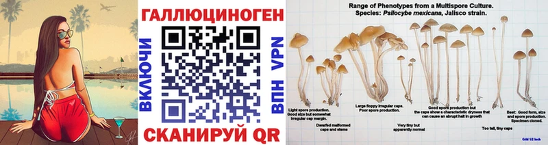 Галлюциногенные грибы ЛСД  гидра как зайти  Анжеро-Судженск 