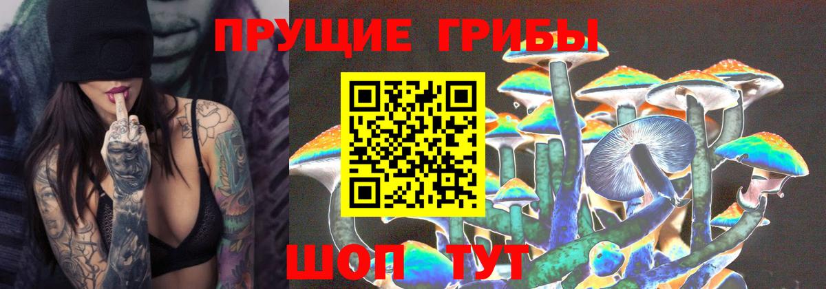 Галлюциногенные грибы Psilocybe Анжеро-Судженск