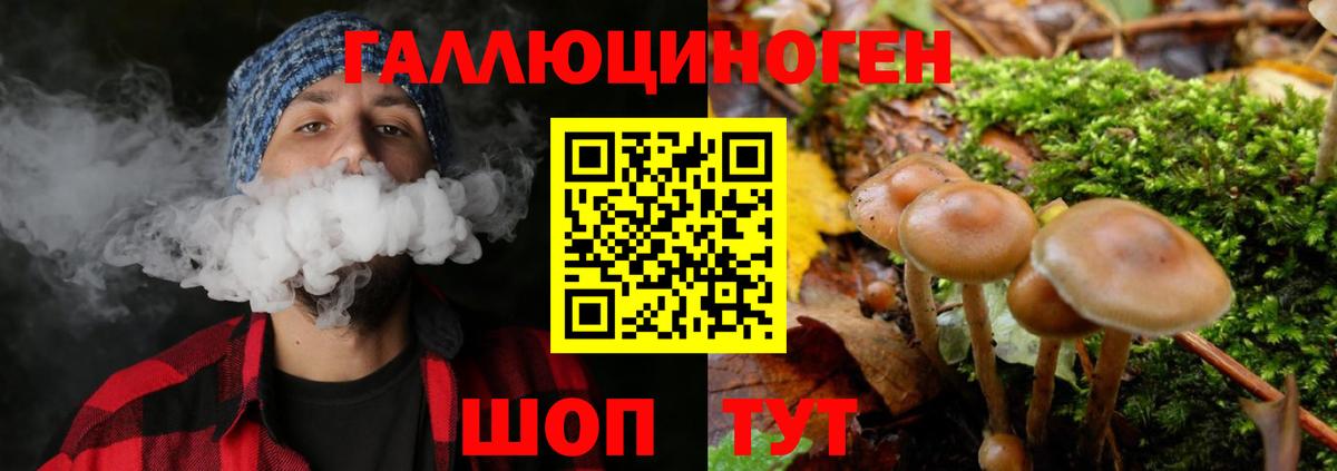 Псилоцибиновые грибы мицелий  Галлюциногенные грибы Psilocybe  Анжеро-Судженск 