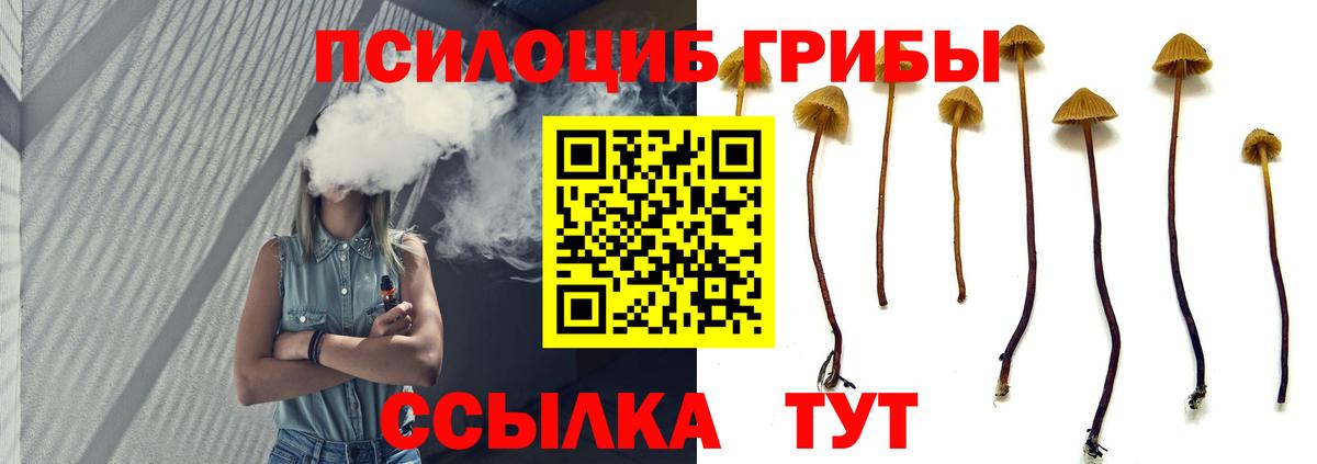 Галлюциногенные грибы Magic Shrooms Анжеро-Судженск